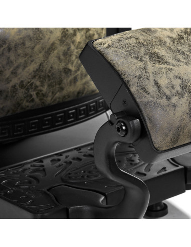 Fauteuil Barbier Cavalese Vieux Cuir Vert – Ambiance Rétro & Design Industriel 