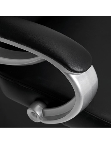 Hair System haarstylingreiniger ZA31 zwart 