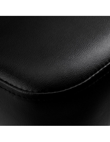 Limpiador de peluquería Hair System ZA31 negro 