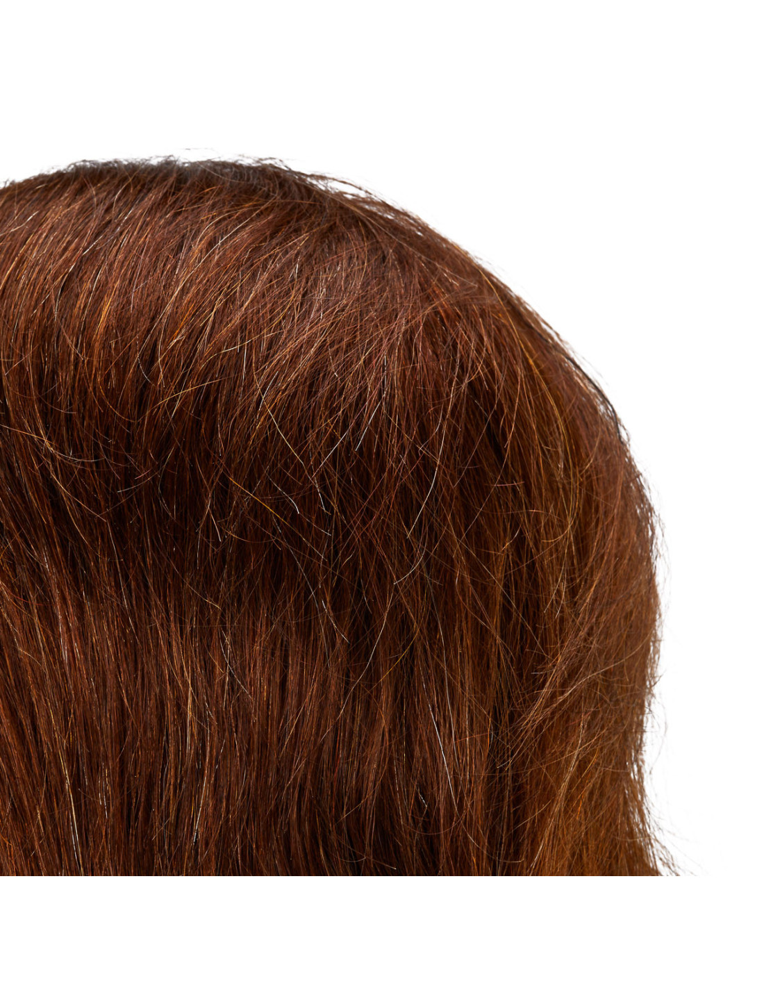 Główka treningowa frizjerska Gabbiano WZ3 naturalne włosy, colore 4H, długość 8 