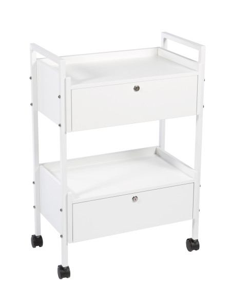 carrito de belleza tau 