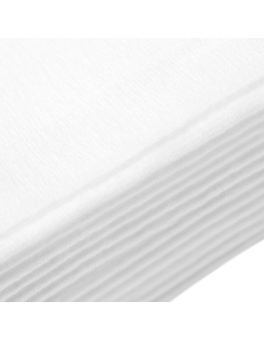 Filtr jednorazowy do pochłaniacza pyłu Marathon Olimp 25 szt. 