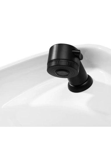 Shampoo para cabelos preto e bege porto