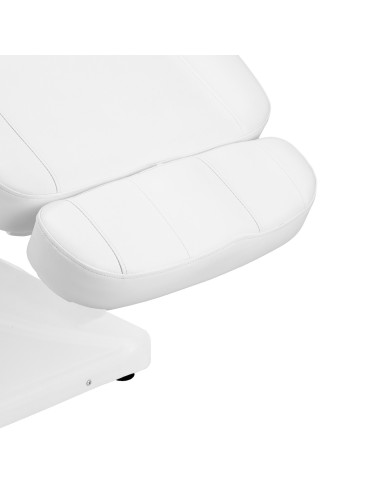 Sillon Luxury Electric Beauty Chair