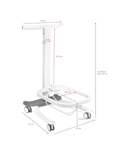 Lift Pedicure Foot Bath Basin on Wheels: Modern Comfort & Hygiene for Wellness Centers
