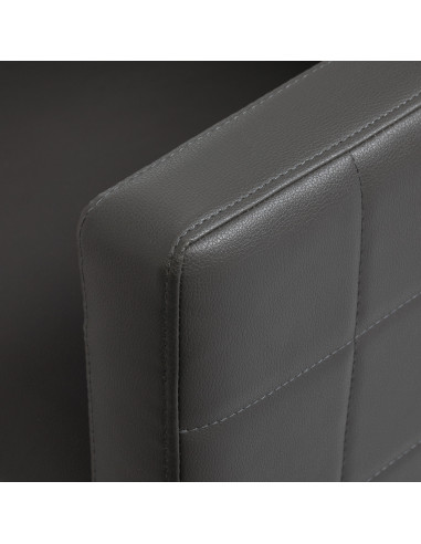 Gabbiano myjnia friedzjerska Ancara szara 