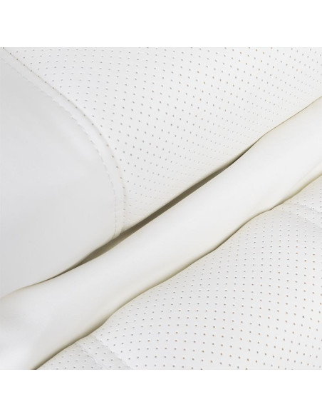 Ancona Lux LED Heated Pro Electric Beauty Chair