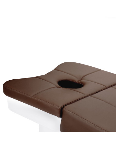 Professional Head Spa Bed Brown Anion Steam Relax Pro
