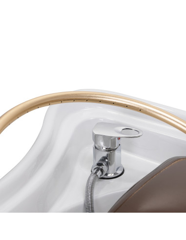 Cama de Spa Profissional para Cabeça Marrom Anion Steam Relax Pro
