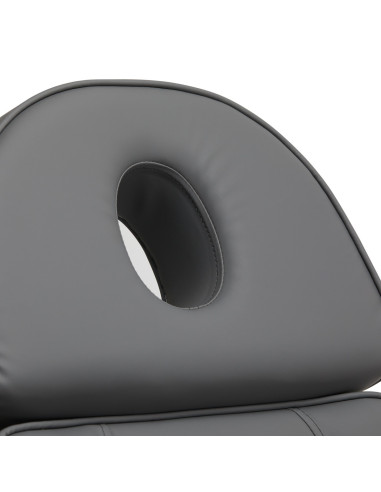 Firenze Aesthetic Electric Armchair Black Wood 3 Motors Pro