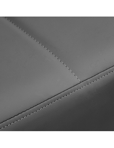 Cama de spa profesional con cabezal de vapor anión gris Relax Pro