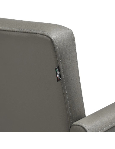 Naples Grey Stone Styling Chair – Modern Design & Premium Comfort