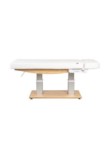 TROCH Smart Electric Massage Table – 4 Motors with Integrated Heating