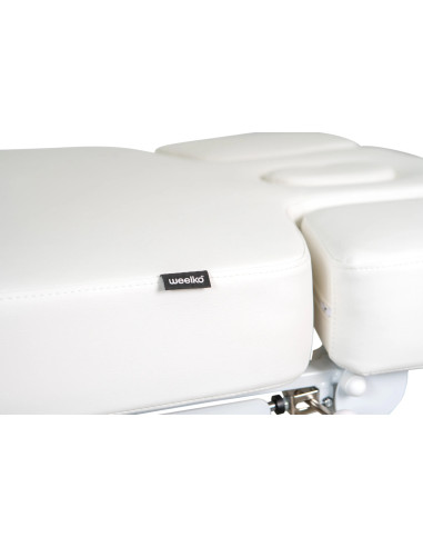 TROCH Smart elektrische massagetafel – 4 motoren met geïntegreerde verwarming