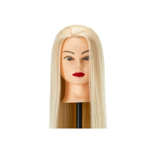 Têtes d'apprentissage coiffure femme