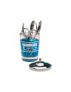 Barbicide récipient en verre pour la désinfection 120 ml