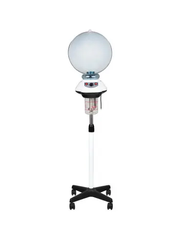 Casque steamer cheveux vapeur coiffure 658 