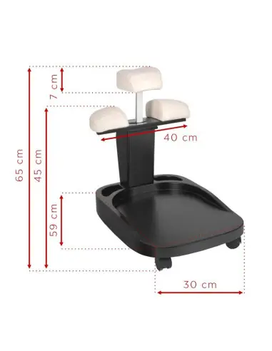 Bassine bain pieds pédicure 110575 Chariot à roulettes bassine pédicure H123