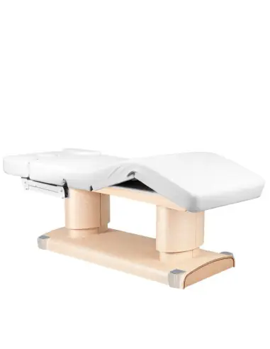 Table de Massage 123557 TABLE DE SPA ÉLECTRIQUE QAUS CHAUFFÉ CHAUD