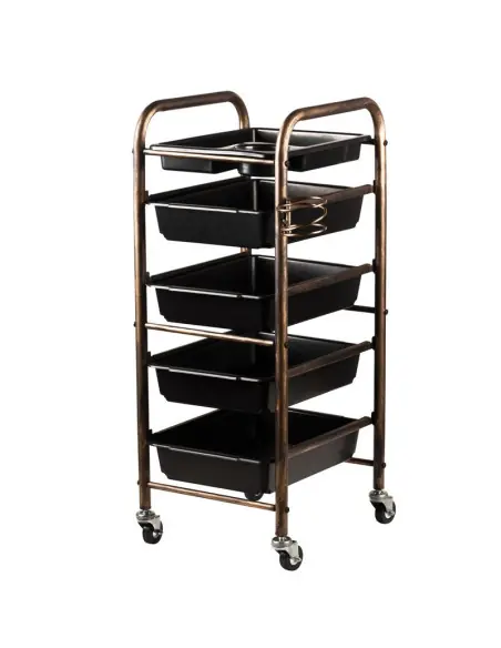 V34 hairdressing, coloring and storage trolley