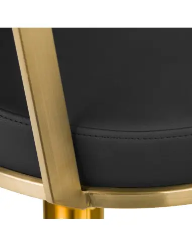 Arras black and gold hairdressing chair {attributes}