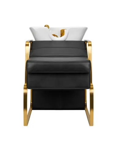 Autolavaggio Gabbiano Diana nero oro