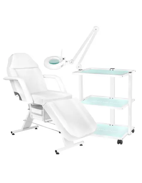 Sillón cosmético 202 Basic + mesa cosmético 1040 + lámpara de aumento LED S5