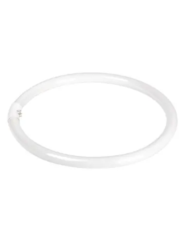 Bulb (fluorescent lamp) for the Ring 12' 35W lamp