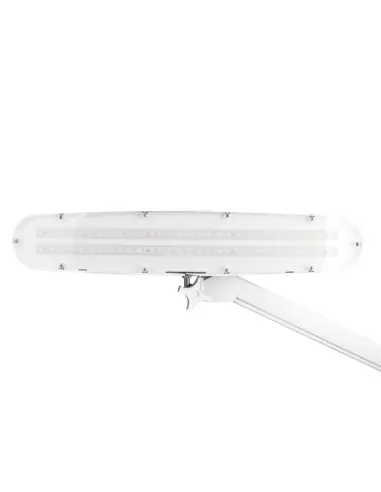 Lampada da officina a LED Elegante 801-l con supporto regolabile intensità della luce bianca