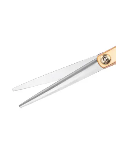 Tijeras de peluquería Snippex 6.0 oro 