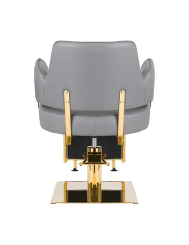Sillón de peluquería Gabbiano Linz oro gris 