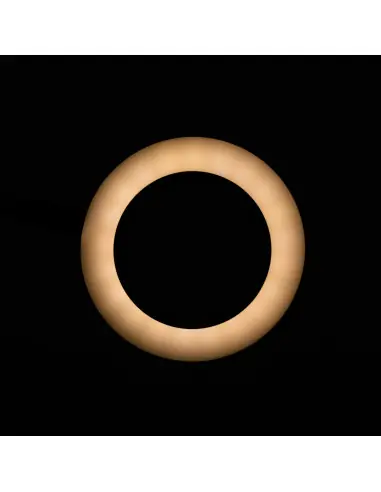 LED-Lupenleuchte Snake Ring für Schreibtisch Schwarz