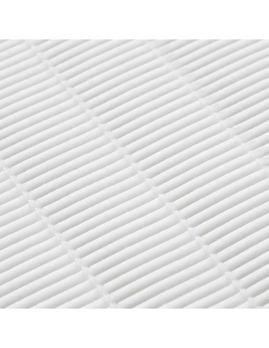 Absorbedor de polvo Momo J-23 Gold cassette