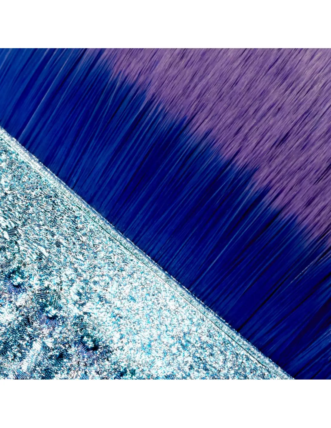 Brosse de collecte de poussière de coquille 