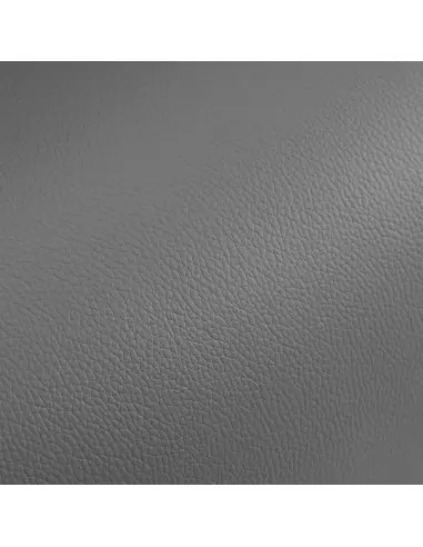 Gabbiano Burgos goldgrauer Friseurstuhl {attributes}