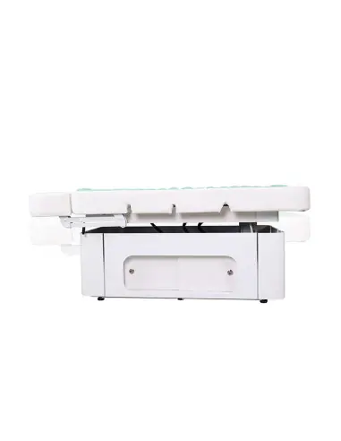 Table de Massage Aqua Spa Chromothérapie 4 Moteurs - Confort et Ergonomie pour Spas Professionnels