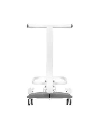 Bassine Bain Pieds Pédicure Lift sur Roulettes: Confort Moderne & Hygiène pour Centres Bien-Être