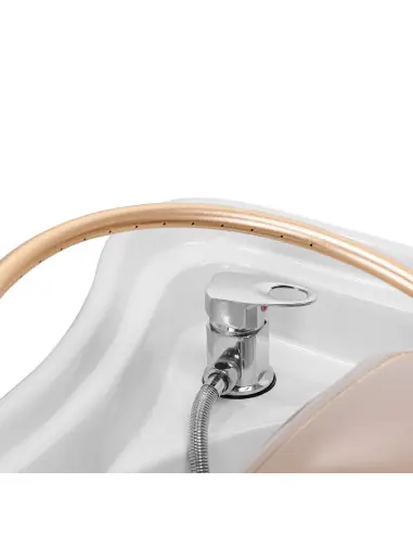 Head Spa Beige Bed with Closed Storage Space