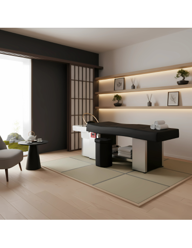 Cama de spa japonesa negra – Mesa de vapor de aniones profesional y bienestar de lujo