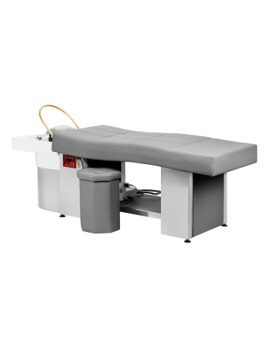 Professional Head Spa Bed Grey Anion Steam Relax Pro 