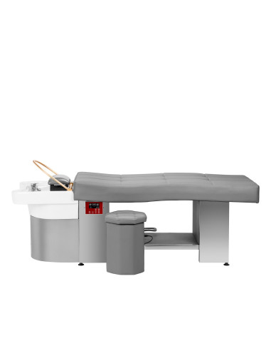 Professional Head Spa Bed Grey Anion Steam Relax Pro 